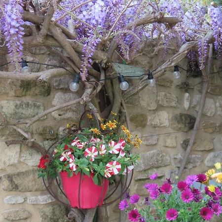 La Maison Wisteria Saint-Pantaléon-les-Vignes Exteriér fotografie