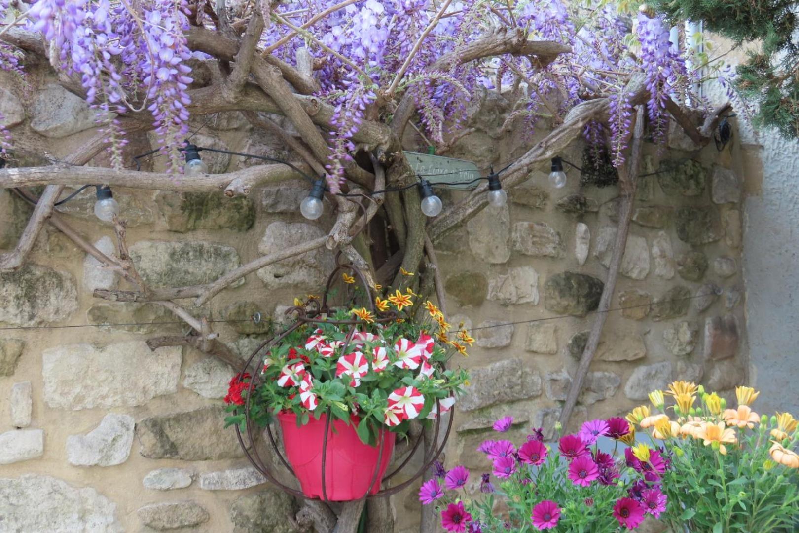 La Maison Wisteria Saint-Pantaléon-les-Vignes Exteriér fotografie